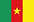 profil sepakbola kamerun